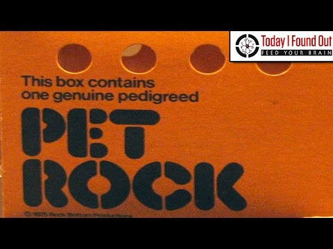 How Did the Pet Rock Fad Start?