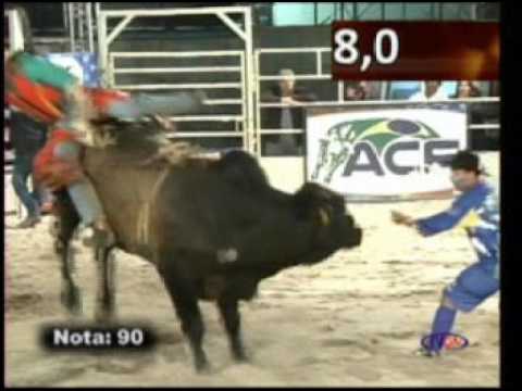 OURO FINO 3ª LUGAR FINAL 2016