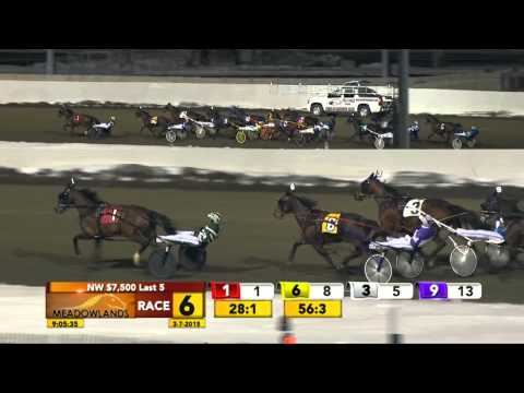 Meadowlands March 7, 2015 - Race 6 - Panchester United