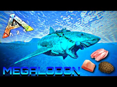 | ARK-MOBIE | APRENDE A TAMEAR TU MEGALODON CON SENCILLO TRUCO  🦈 | FÁCIL Y RÁPIDO