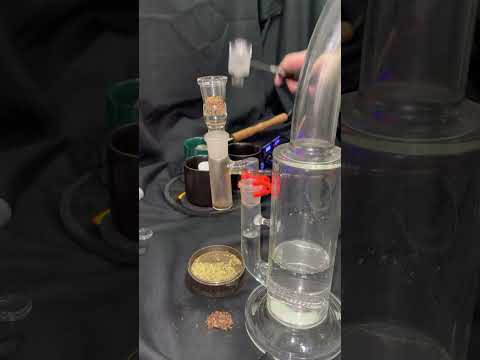 Qaroma Function Video