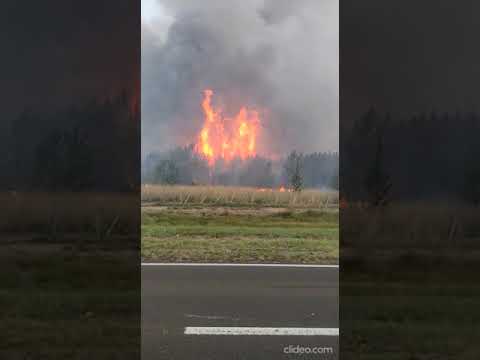 Corrientes: Incendio Forestal arrasa en zona de Villa Olivari