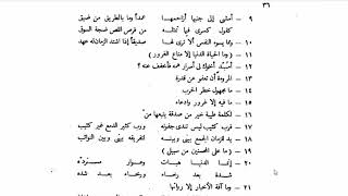 النحو الوظيفي(13)  الجزء الثاني من تدريبات المبتدأ والخبر image