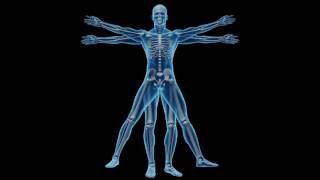 I am only human  by John Taylor Featuring Lori McTear