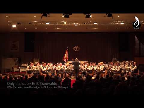 KMV De Leiezonen Desselgem - Only in sleep