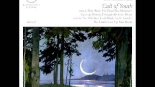 Cult of Youth - The New West