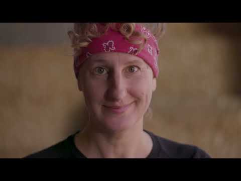 How to Shear Sheep and Why It's Important