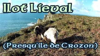preview picture of video 'Ilot Lieval (presqu'île de Crozon), 18 déc 2011'