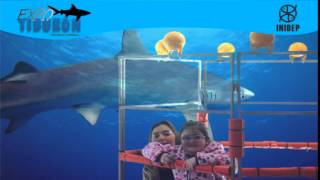 DIA 2 Expo Tiburon43