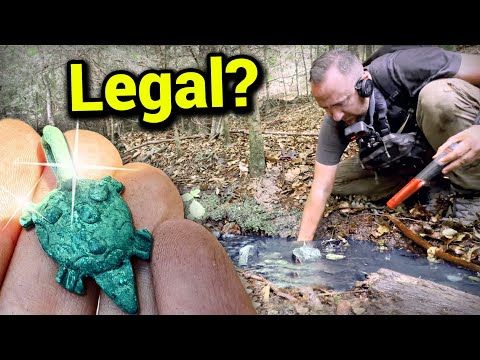 FORBIDDEN... but allowed ✅ 35 metal detectorists and archaeologists at a hillfort! #metaldetector...