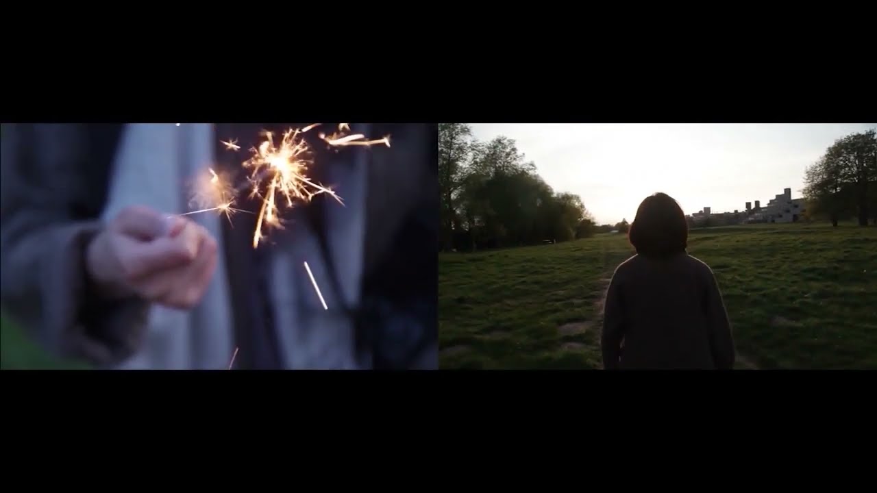 Swallowtail Butterfly - TRAILER