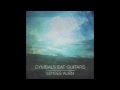 Cymbals Eat Guitars- Plainclothes 