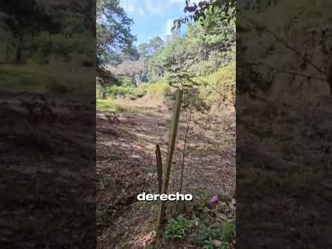 Terreno en Choacorral #terreno #lote #choacorral #sacatepequez #sanlucas #cabaña #eventos