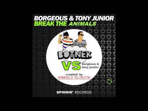 Borgeous & Tony Junior vs Botnek - Break The Animals [Mash-Up]