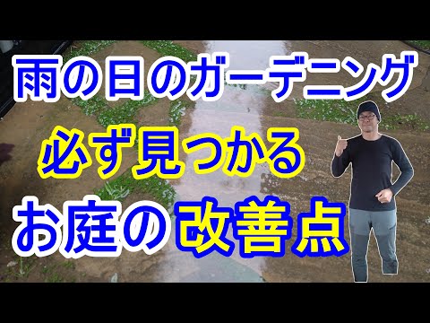 庭のヒント 造園装飾 実用的な雨の庭の作り方 都会の冬の植物 石