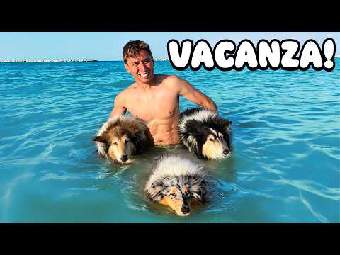 I take my DOGS on HOLIDAY to a Pet Friendly Village 🐶