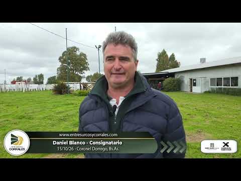 15-10-26 - Daniel Blanco - Consignatario - Coronel Dorrego, Bs.As.