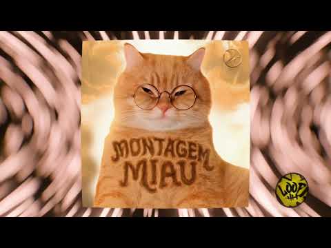 MONTAGEM MIAU (Extended)