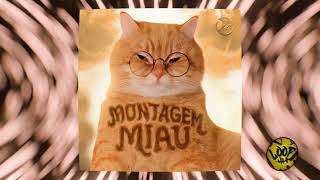 MONTAGEM MIAU (Extended)