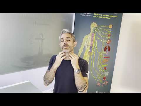 Mandible Exercises Pterygoid   ENG