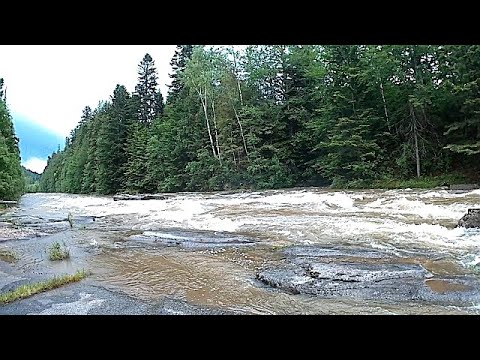 Похід по Гриби 17.06.2020 \Hike to the Mushrooms 17.06.2020