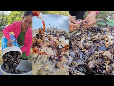 crab soup recipe - best food in my village