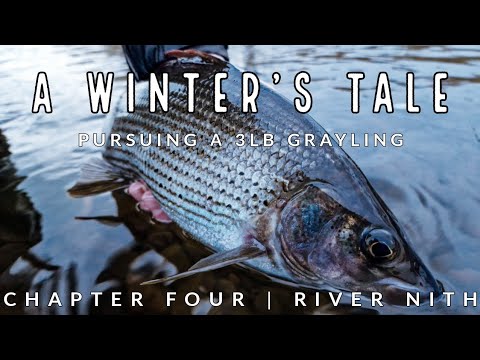A Winter's Tale | Pursuing a 3lb Grayling | Chapter Four | Nymphing & Trotting | River Nith