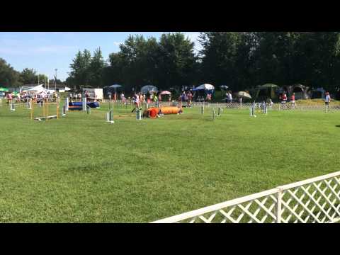 Davor i Elky EO2014 Jumping Team