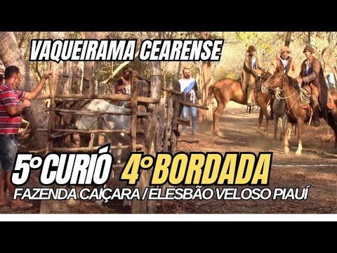 5ª Carreira Boi Curió e 4ª da Bordada#boinamoita