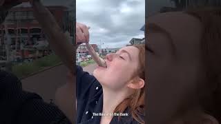 your honor, Free Bird was playing