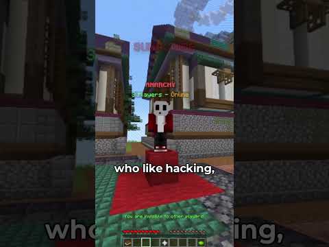 Vivilly - What is the Best Minecraft Server?