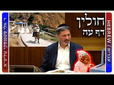 מרכז דף יומי - חולין דף עה. - ר' אלי סטפנסקי שליט"א