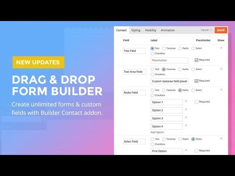 Create Unlimited Forms & Custom Fields with Builder Contact Addon