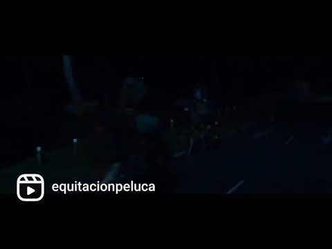 Equitación Peluca Trailer Reyes contra santa