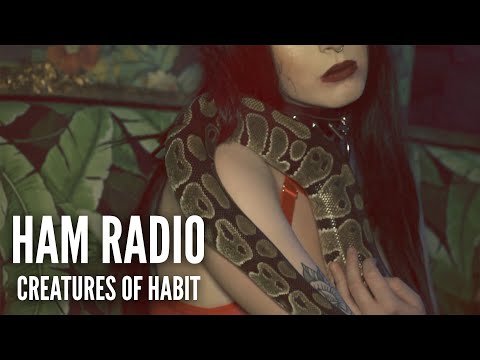 Ham Radio - Creatures of Habit (feat. Aaron Gillespie)