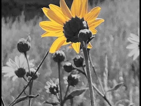 Dash Berlin– Coming Home (Standerwick Remix) x RAMsterdam (Jorn Van Deynhoven Remix) Skylex Mashup