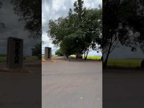 Patrimônio cultural de Tasso Fragoso Maranhão