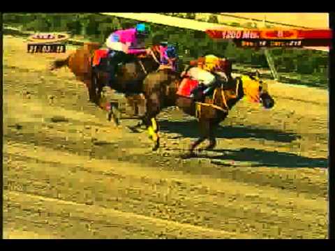 Resumen Sábado, 21 de Marzo de 2015 - La Rinconada