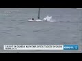 Florida Man In Critical Condition After Shark Attack On Camera