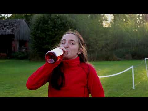 SDH Žehrov   holky 2019