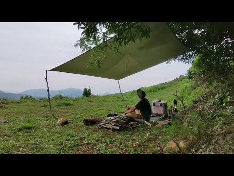 園芸 アメリカンローレル、マウンテンローレル