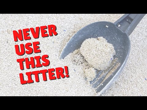 STOP Using Clay Litter! | Two Crazy Cat Ladies #shorts