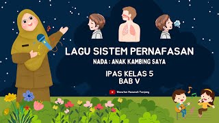 Download lagu Lagu Sistem Pernafasan Manusia IPAS Kelas 5 Bab 5 mp3 Download lagu Lagu Sistem Pernafasan Manusia IPAS Kelas 5 Bab 5 mp3