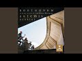 String Quartet No. 3 in D Major, Op. 18 No. 3: IV. Presto