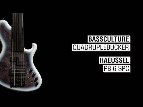 Bassculture Quadruplebucker + Haeussel PB 6 SPC - Paddock 6p-24 fretless 35" super long scale