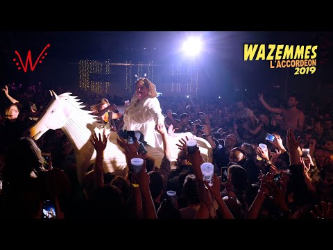 download lagu mp3 mp4 Le Bal Accordon Bruxelles, download mp3 Le Bal Accordon Bruxelles free downloadn, video klip Le Bal Accordon Bruxelles