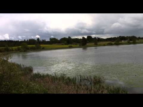 Siivikkalan näköalapaikka