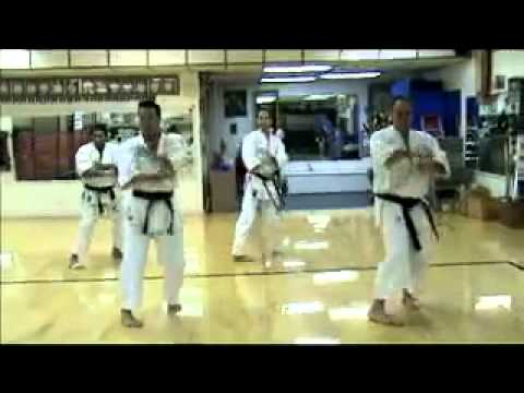 GoSoku Ryu: IKA HQ Karate Montage