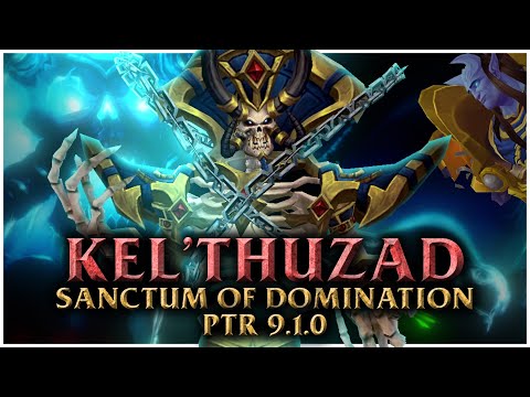 Kel'thuzad Heroic NEW 9.1 Raid Boss - Sanctum of Domination Retribution Paladin POV | PTR Fintusius