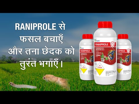 Safex Raniprole Insecticide, Liquid, Packaging Size: 1 L, 500 ML, 200 ML